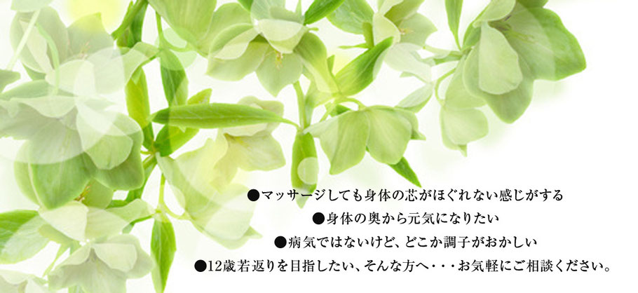 マッサージしても身体の芯がほぐれない感じがする、身体の奥から元気になりたい、病気ではないけど、どこか調子がおかしいそんなあなたへ