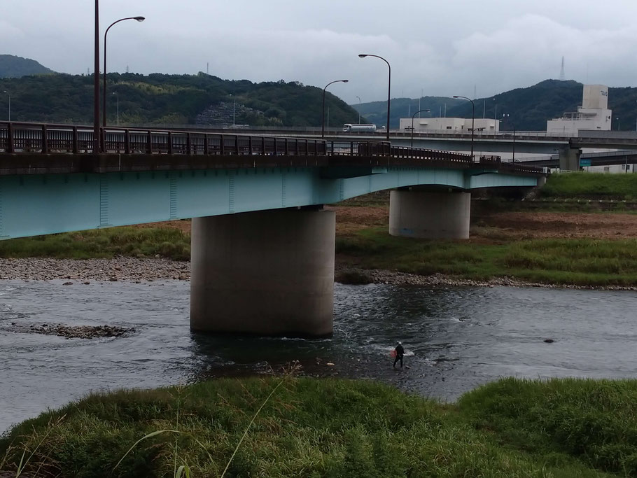 神島橋　早朝は数人入川していました。