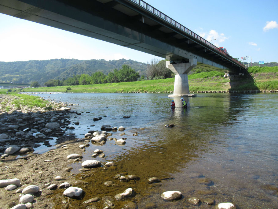 鮎友釣り教室　狩野川大橋