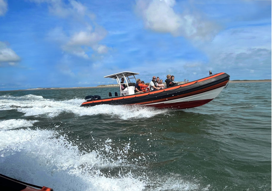 Met de RIB naar de zeehonden