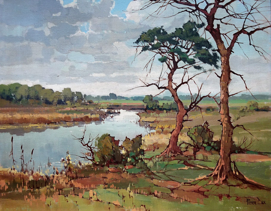 Peter Cox, kunstschilder. Schilderij waterrijk landschap te koop.