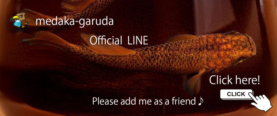 Go to LINE