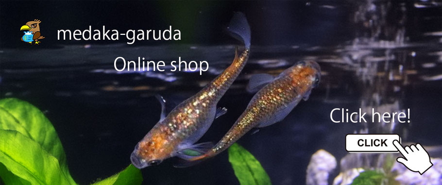 Go to Online Shop