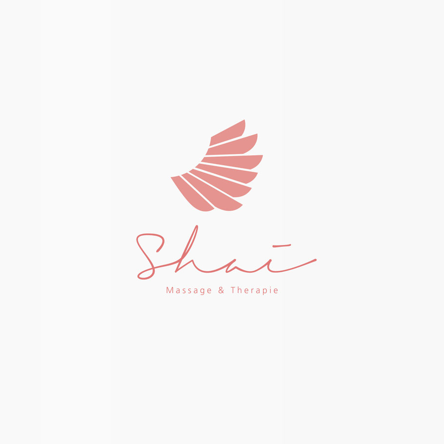 Mediendesign VanB Media Logodesign Branddesign Corporate Design CI Alzey