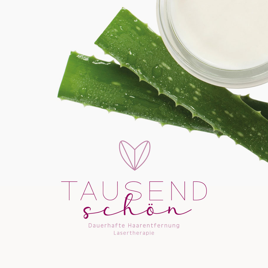 Mediendesign VanB Media Logodesign Branddesign Corporate Design CI Alzey