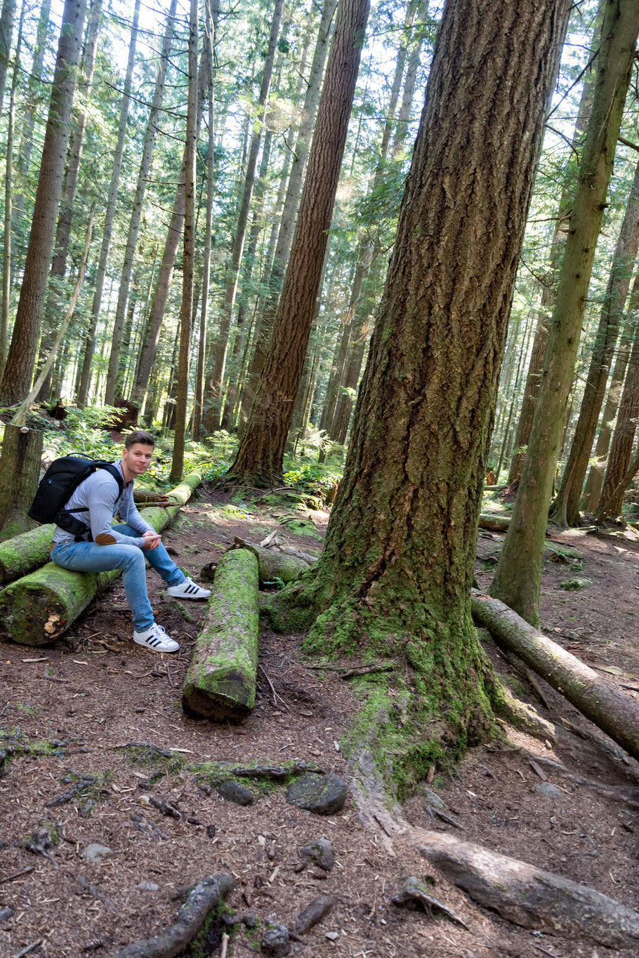 Kanada, Vancouver, Wald, Natur, Landschaftfotografie, der Beste Fotograf, Martin Matok, Rüsselsheim am Main, Hessen, Fotografie, Kunst, Bäumen,