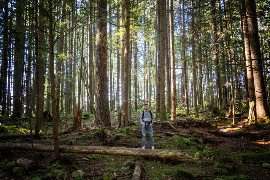 Kanada, Vancouver, Wald, Natur, Landschaftfotografie, der Beste Fotograf, Martin Matok, Nebel, Rüsselsheim am Main, Hessen, Fotografie, Kunst, Schiff, Bäumen