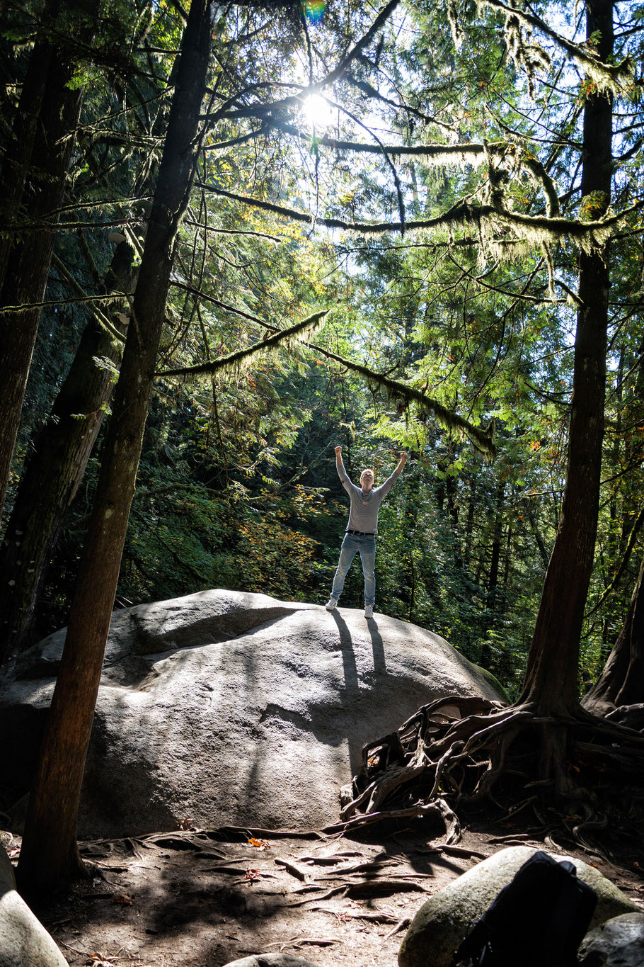 Kanada, Vancouver, Wald, Natur, Landschaftfotografie, der Beste Fotograf, Martin Matok, Rüsselsheim am Main, Hessen, Fotografie, Kunst, Bäumen,