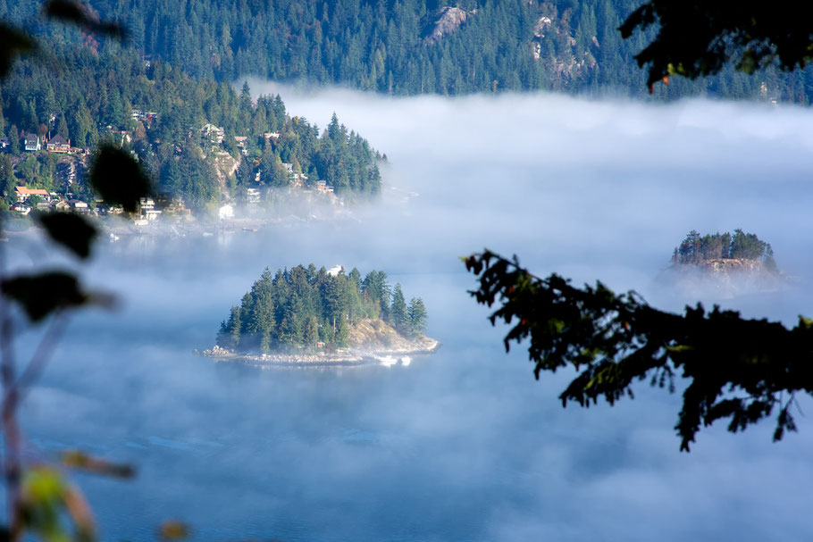 Kanada, Vancouver, Wald, Natur, Landschaftfotografie, der Beste Fotograf, Martin Matok, Nebel, Rüsselsheim am Main, Hessen, Fotografie, Fluss