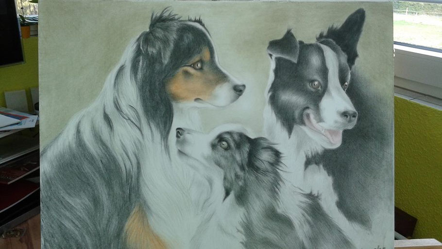 Bordercollies, Pastell 30x40 cm, von Ina Brandt