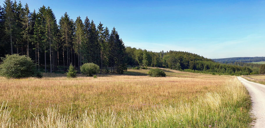 EifelSchleife Nettersheim