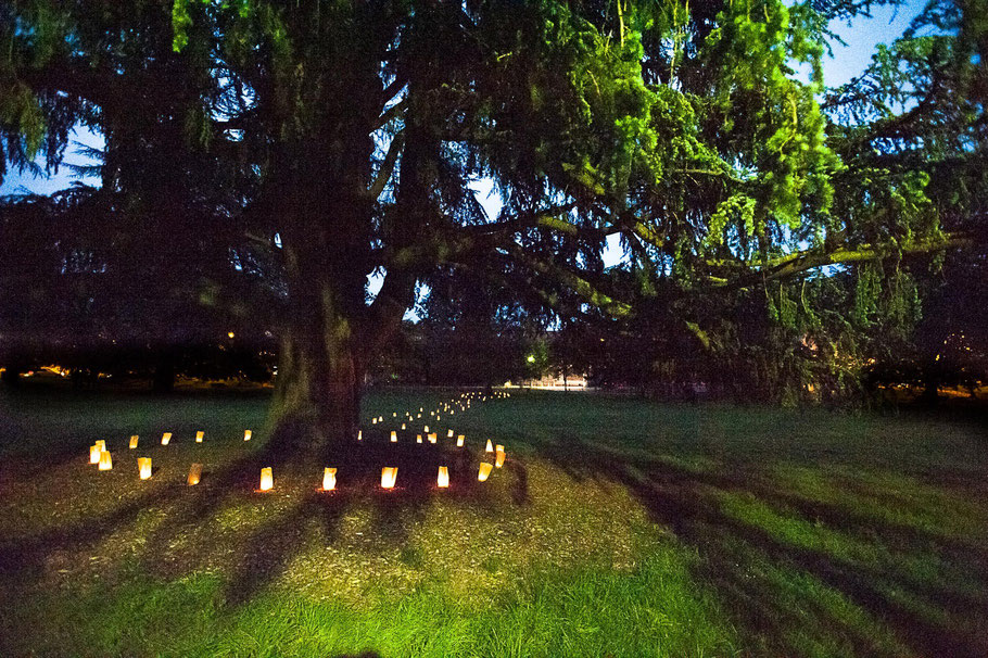 illumination du parc Laurence à Pau des bougies sont allumées au pied des arbres. 