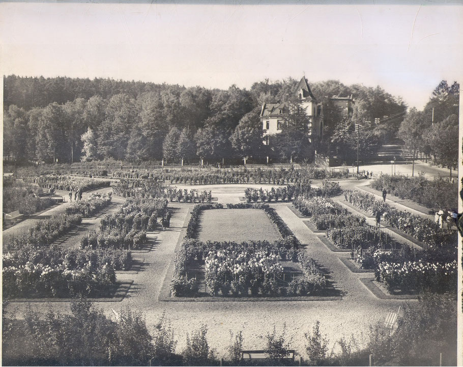 Der Geraer Dahliengarten im Jahr 1928