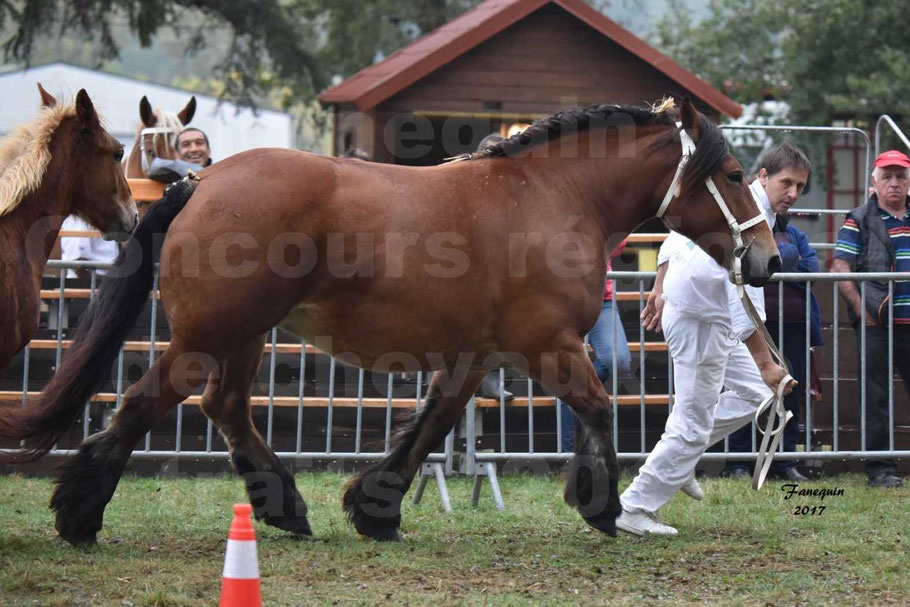 Concours Régional de chevaux de traits en 2017 - Jument & Poulain Trait COMTOIS - COMETE DE GRILLOLES 