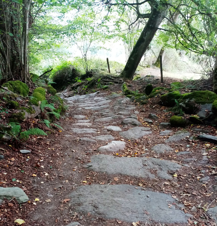 Chemin qui mène à l'estive d'Arlos. Blocs Granit et Schiste