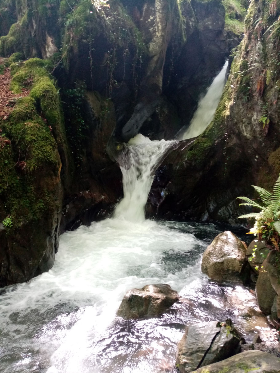 La cascade du ruisseau de la Batch à Arlos photo R Cessin-Bélières 28 Mai 2023