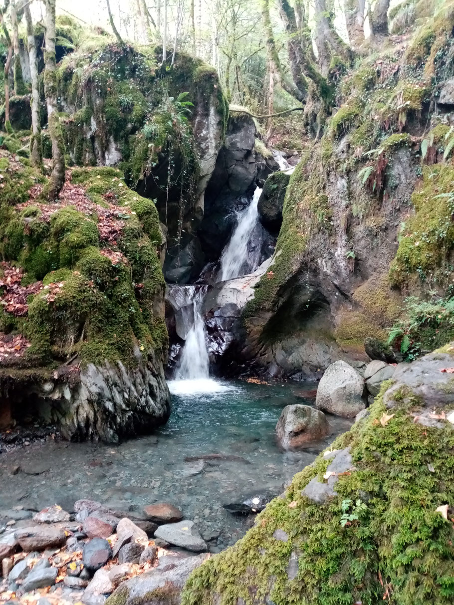 La cascade du ruisseau de la Batch à Arlos photo R Cessin-Bélières Août 2022