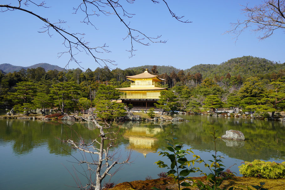 建築家　金閣寺　平賀敬一郎