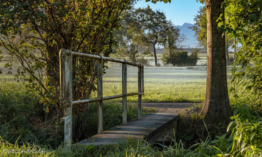 brücke-baffles-riet