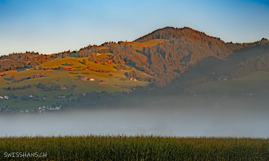 altstätten-hügel-morgensonne