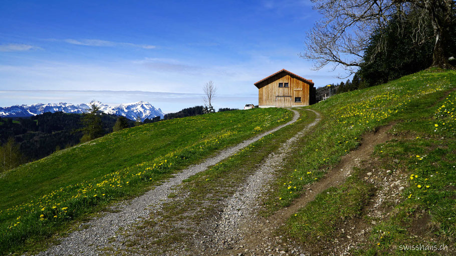 Alpgebäude auf dem Suruggen mit Kiesweg und Säntis im Hintergrund