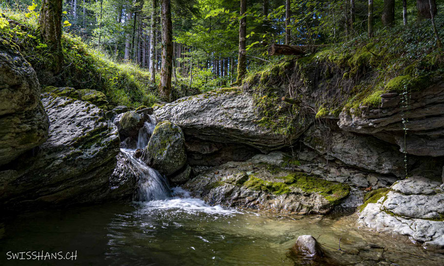 Kobelwiserbach, Oberriet mit Felsformationen und ganz kleinem Wasserfall