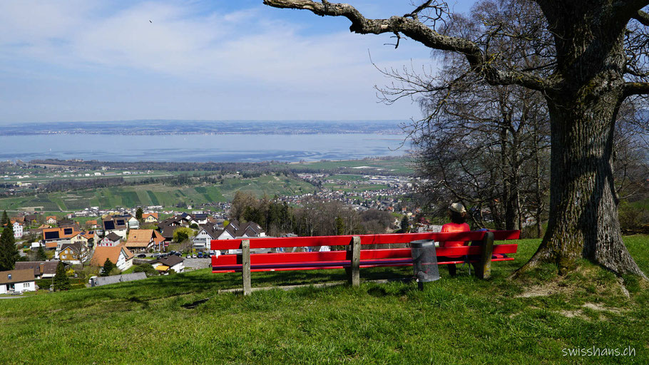 Aussichtspunkt mit langer roter Bank mit Blick auf den Bodensee