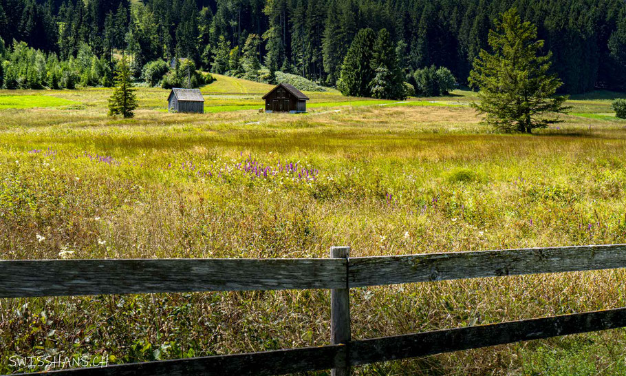 Moorlandschaft im Moos Hüttenberg bei Gonten am Barfussweg