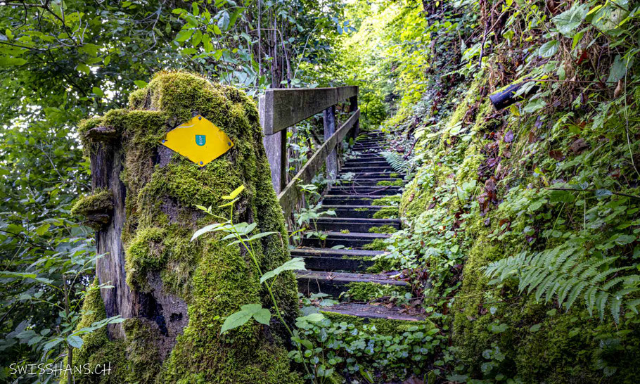 Wanderweg mit Wanderweg-Tafel mit Treppe, Geländer, Moose, Farn, Felswand