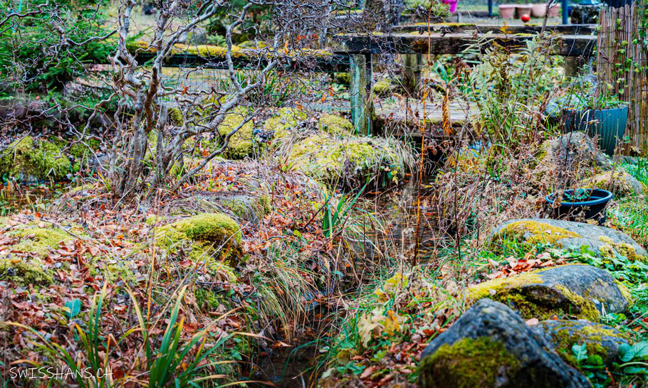 Bächlein und Brücke im Naturgarten des Restaurant Seeli in Wald