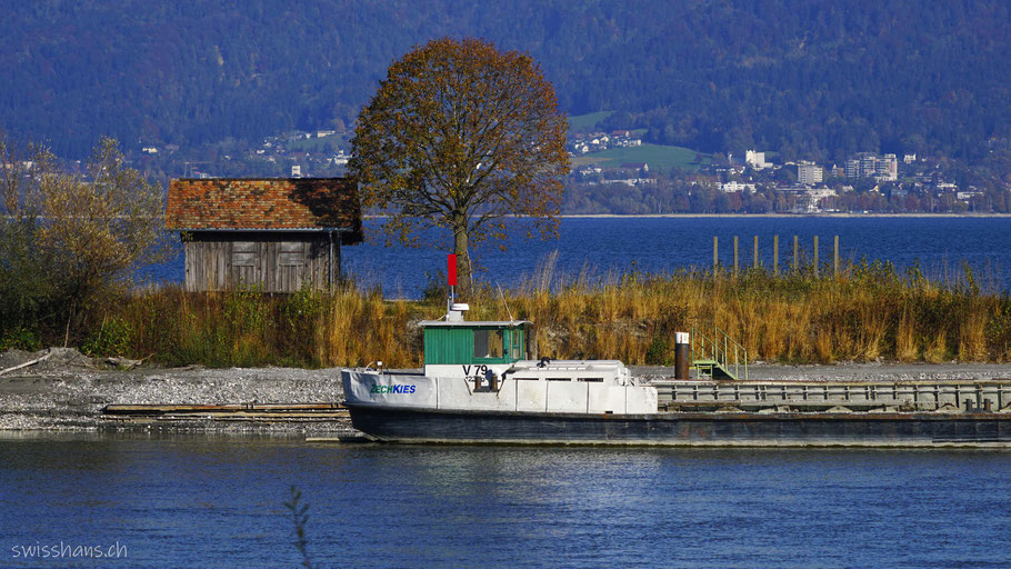 Endstation der Rheinbahn auf dem Rheindamm im Bodensee mit einem Kiesschiff