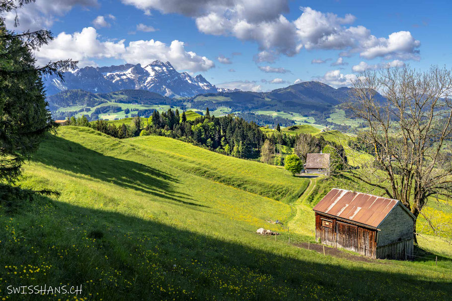 pfeff ond Lischt Weeg-aussicht-säntis