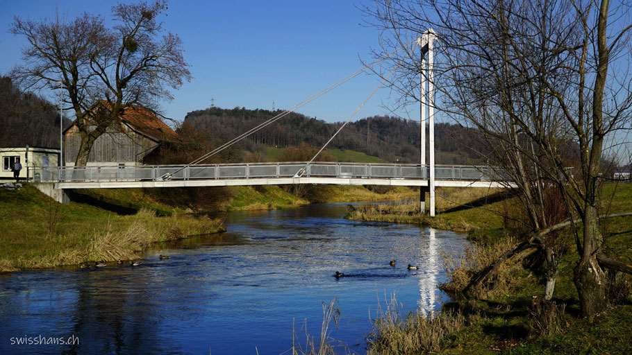 Fluss mit Schrägseilbrücke, Rheintaler Binnenkanal