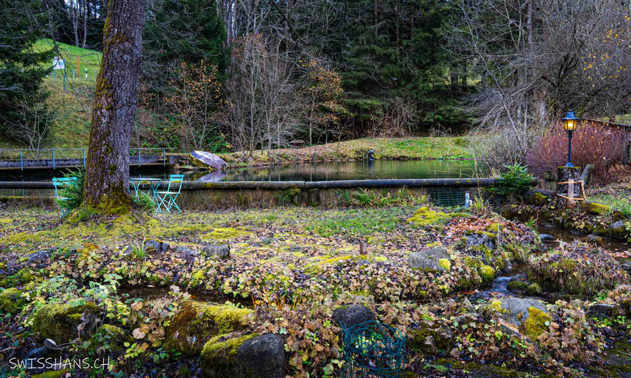 Idyllischer Naturgarten am Seeli in Wald