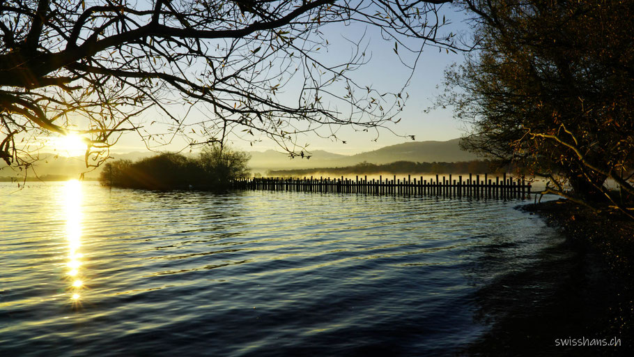 Sonnenaufgang über dem Bodensee beim Rheinspitz mit Wellenbrechern