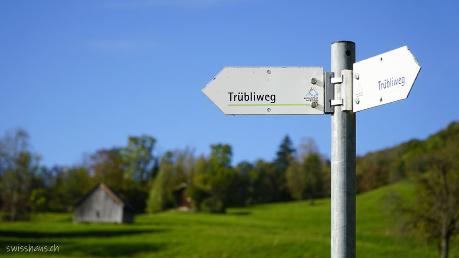 Wegweiser beim Trübliweg Frümsen Sax