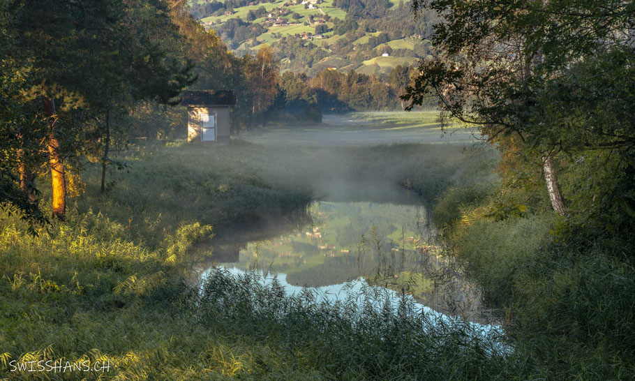 teich-baffles-melioration-altstätten