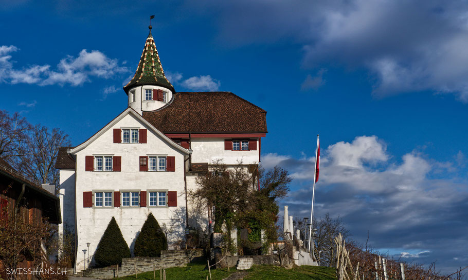 Schloss-Weinstein-Marbach-Rebberg