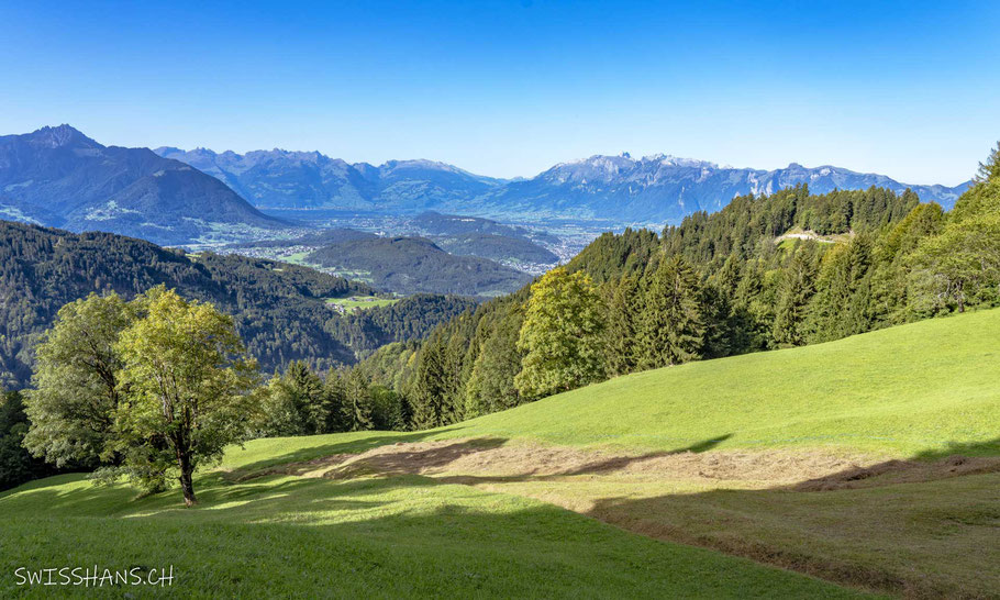furx-wiesen-bäume-aussicht-schweizer berge