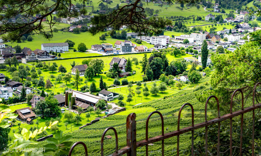 Blick hinab auf den Ort Thal. Eisenzaun im Vordergrund, Reblagen und Ortschaft Thal im Hintergrund