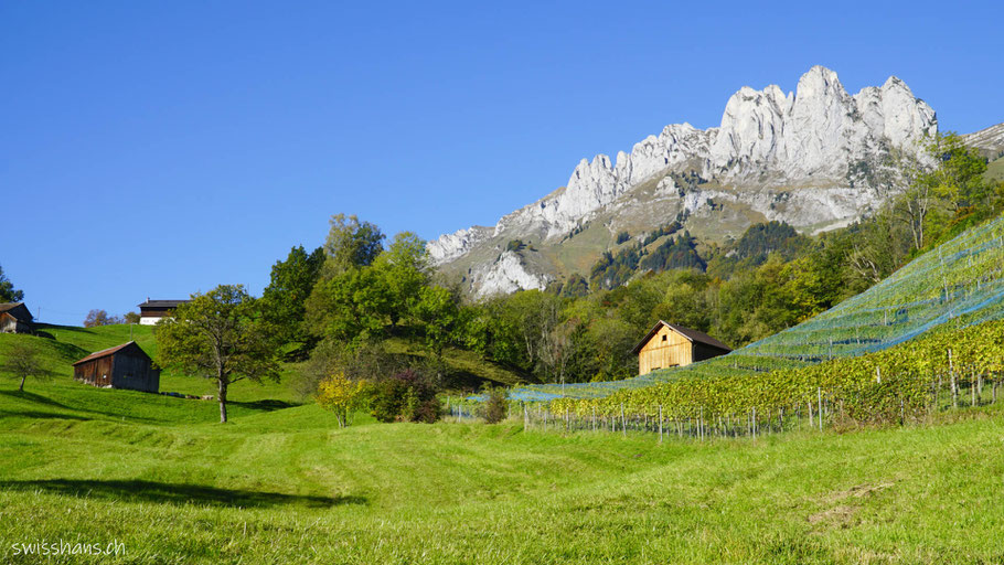 Landschaft beim Trübliweg in Frümsen