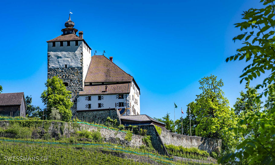 Schloss Werdenberg betrachtet von Volg Sinnespfad Werdenberg