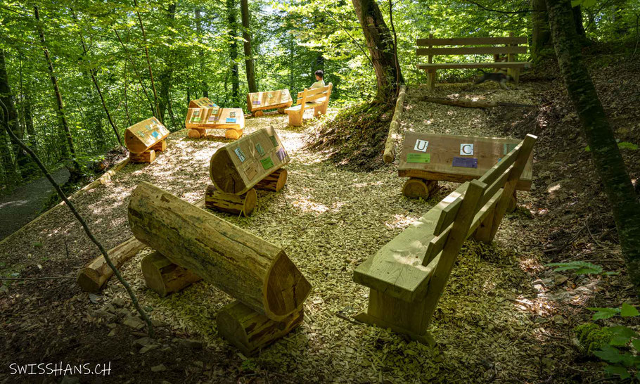 Station zur psychischen Gesundheit mit Sitzbänken und Infotafeln auf dem Grabser Waldparcours.