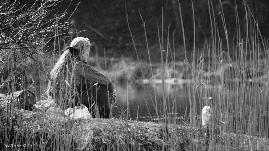 Eine Frau sitzt am Ufer des alten Rheins und betrachtet einen Schwan