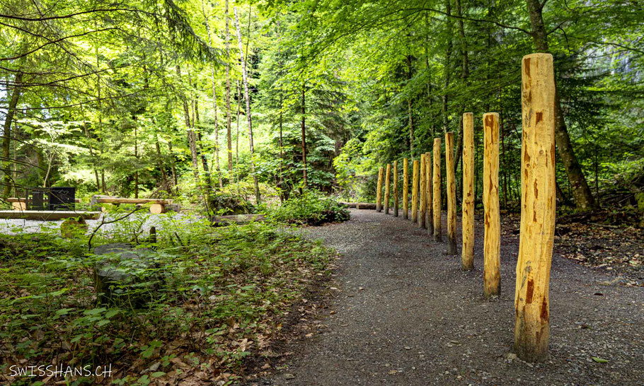 Holzpfähle stehen Senkrecht als Sportgerät auf dem Grabser Waldparcours.