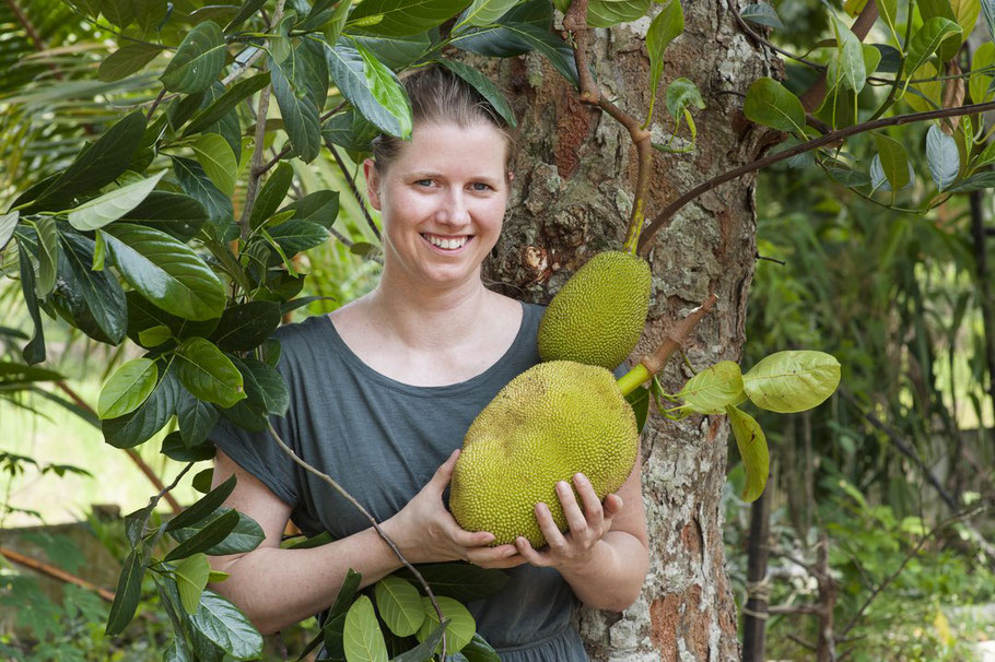 nachhaltigkeit-jackfruit