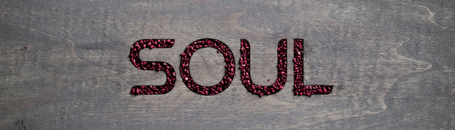 Soul by Rain international ya está en México