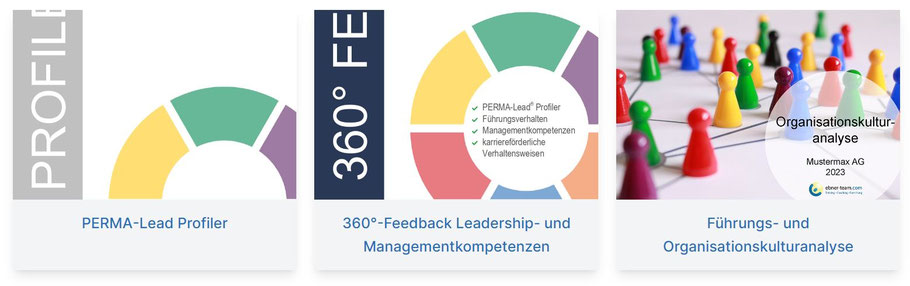 Mit dem Profiler und dem 360° Feedback erhalten Sie wertvolle Erkenntnisse 