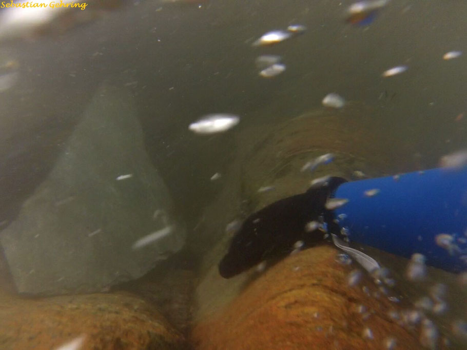 Canyoning im Tauferer Ahrntal bei Lappach