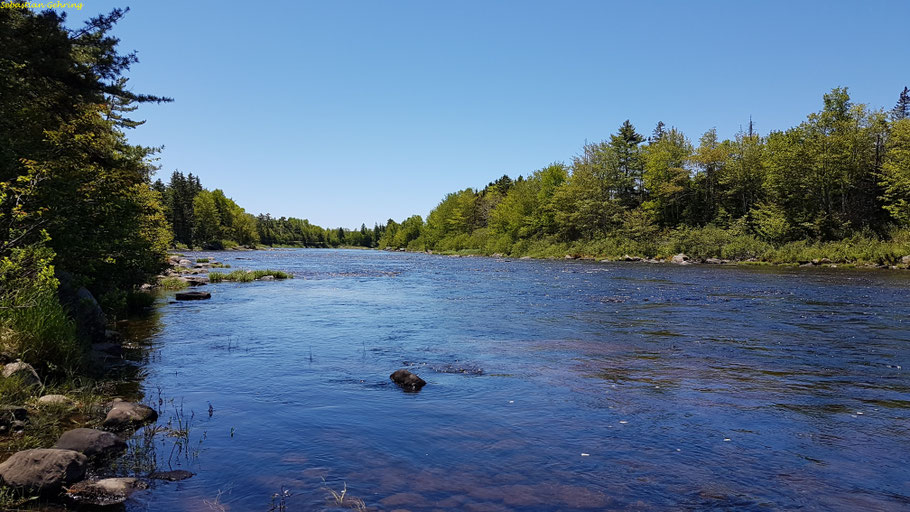 St Mary's River Association Interpretive Centre (Nova Scotia)